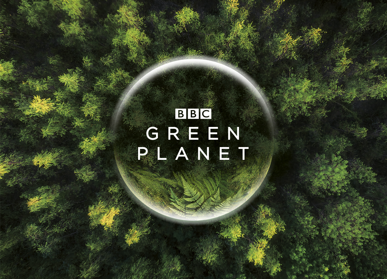 B站与BBC达成战略合作，将联合出品《绿色星球》等纪录片