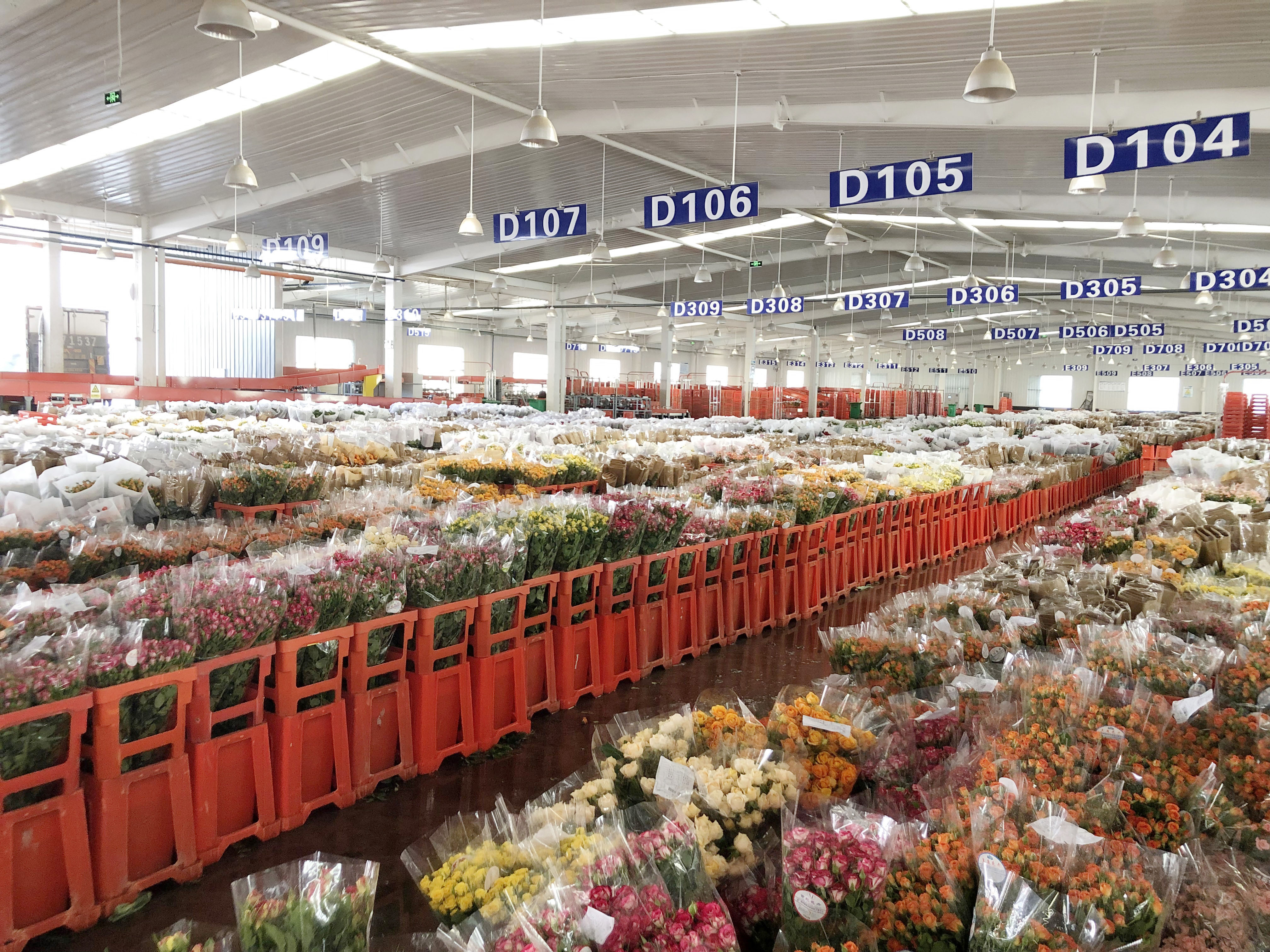 盒马升级鲜花业务：将与昆明花拍中心成立鲜花供应链公司